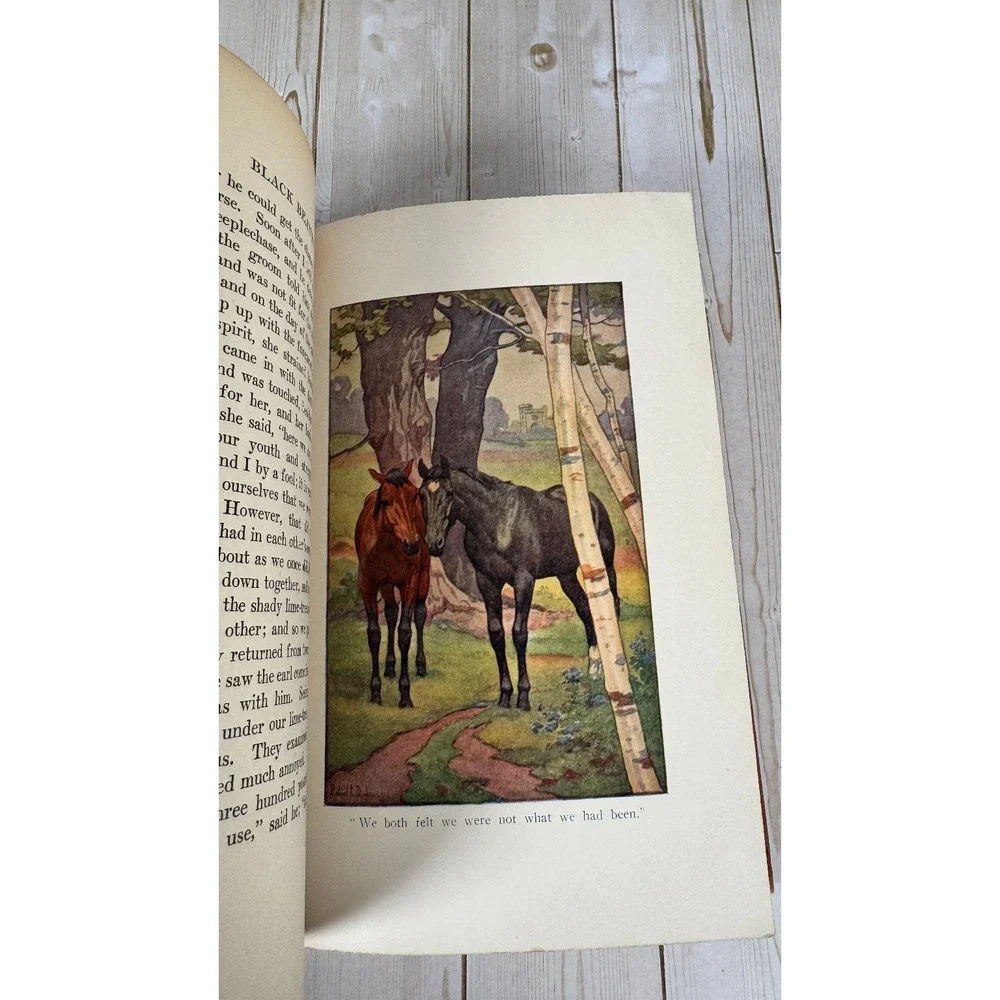 Black Beauty Anna Sewell 1911 HC Illustrated Robert L Dickey Barse Classic